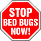 Stop Bed Bugs Now