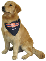 K-9 Bed Bug Detector K-9 Bed Bug Detector